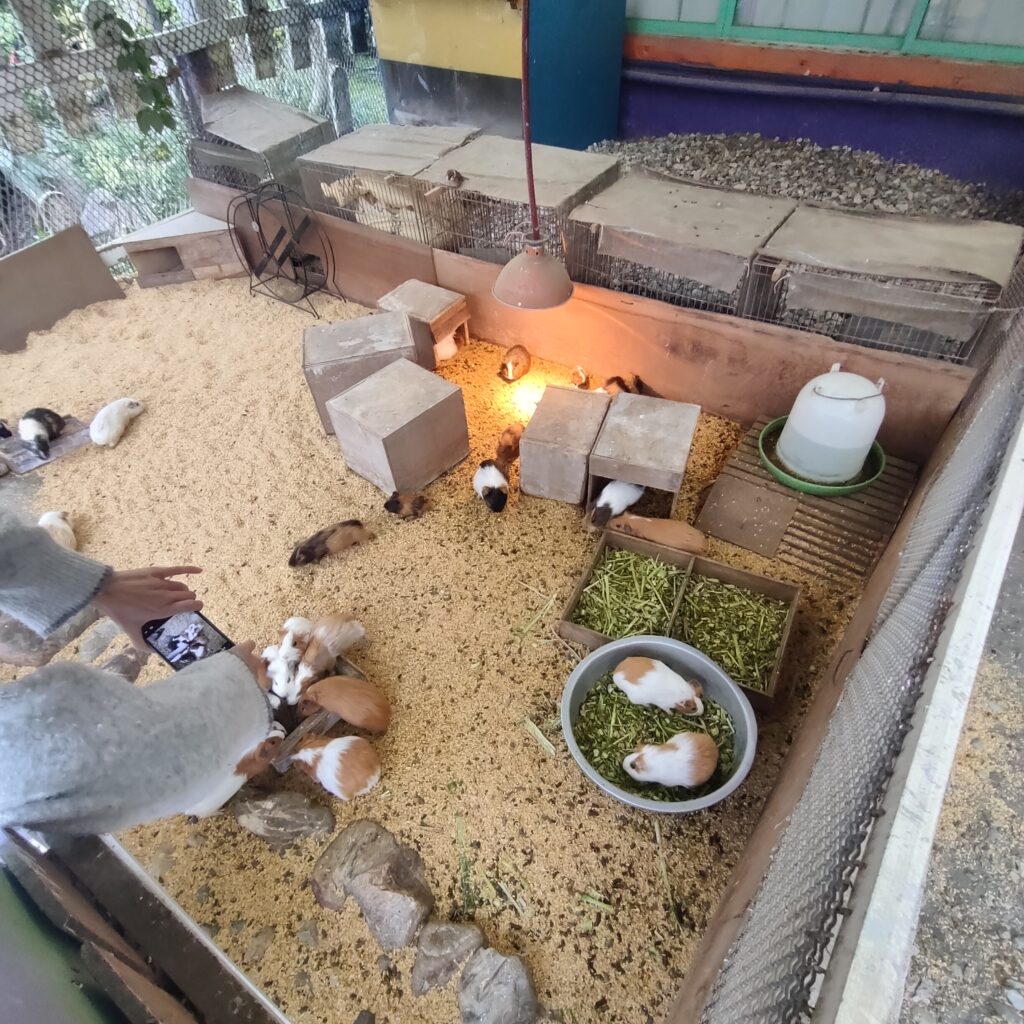 IMG20260110143000