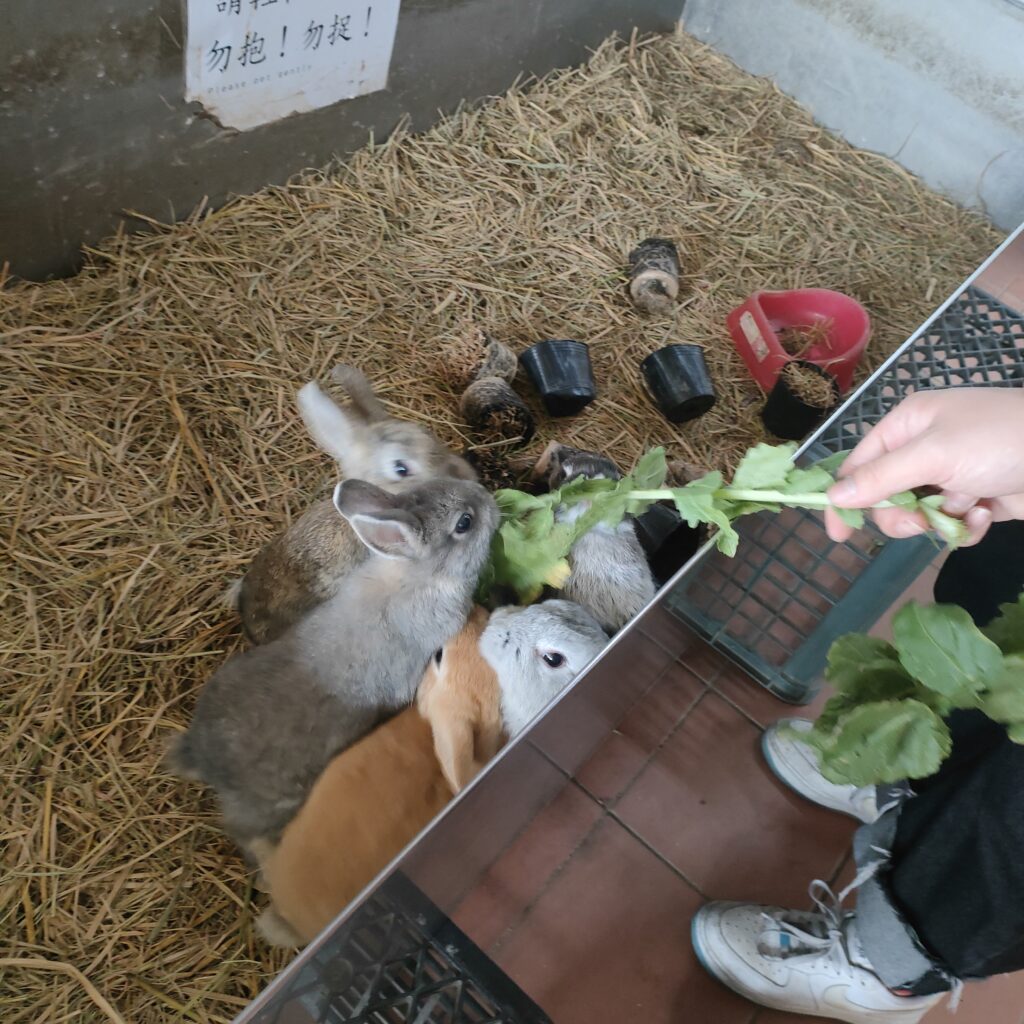 IMG20260124144444