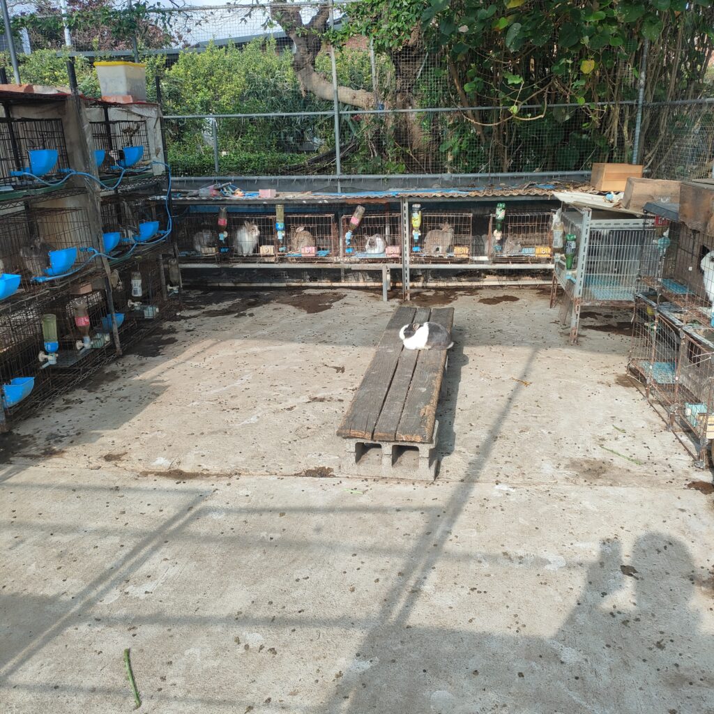 IMG20260124144810