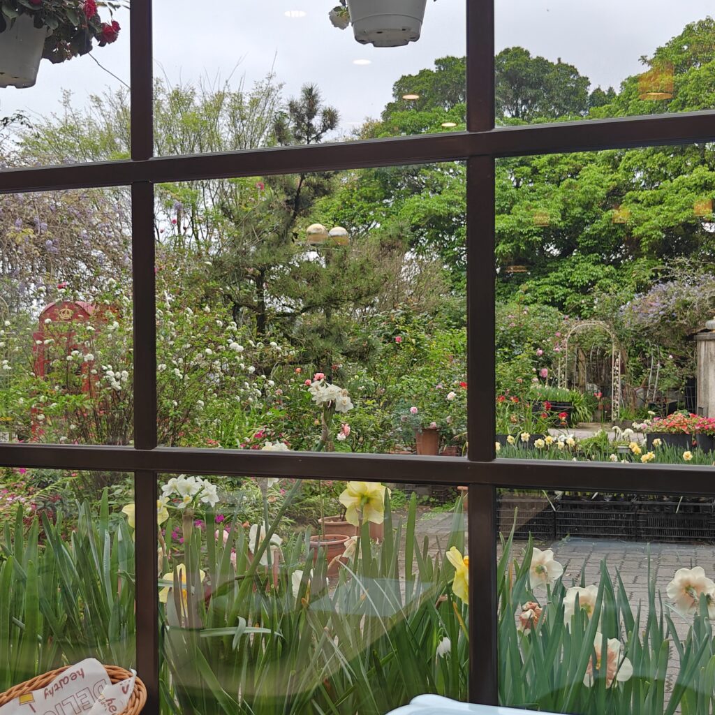 IMG20260321152438 20260328063626