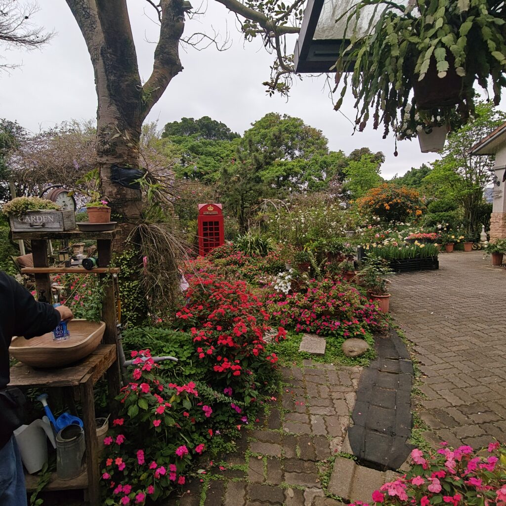 IMG20260321153546 20260328063626