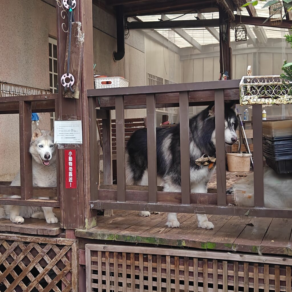 IMG20260321153901 20260328063628